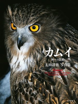cover image of 太田達也写真集　カムイ　神々の鼓動
